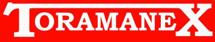 TORAMANEX.COM